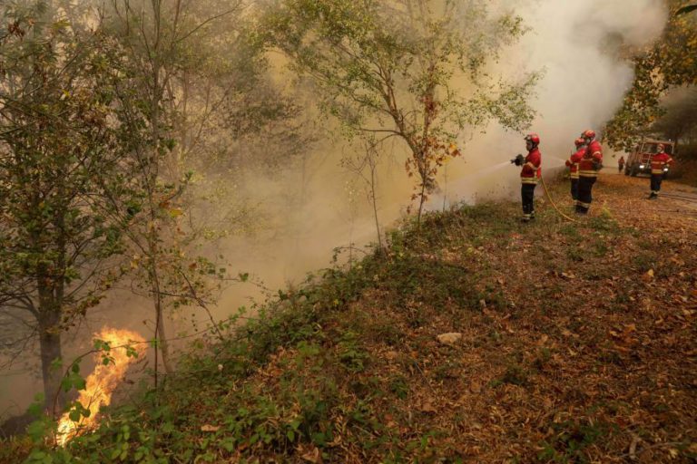 QUASE 70 CONCELHOS DE 13 DISTRITOS EM RISCO ‘MÁXIMO’ DE INCÊNDIO – IPMA