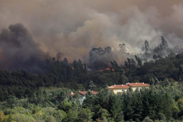 INCÊNDIOS: FOGO EM VALENÇA TOMA PROPORÇÕES ALARMANTES — PRESIDENTE DA CÂMARA