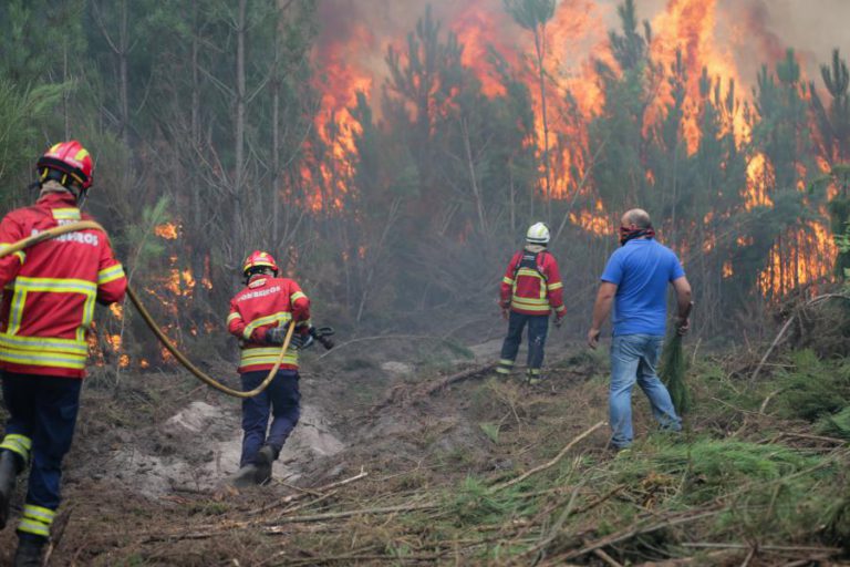 CRIADO PROGRAMA DE INVESTIGAÇÃO PARA PREVENÇÃO E COMBATE