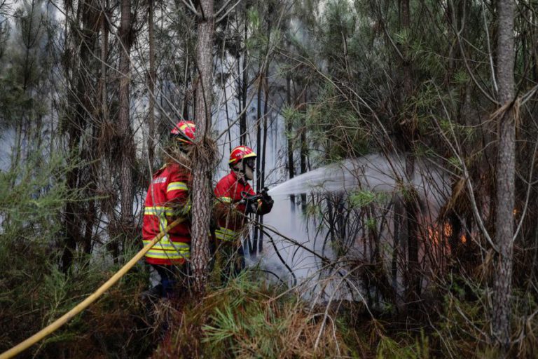 UMA CASA ARDIDA E BOMBEIROS FERIDOS EM LEIRIA — CÂMARA