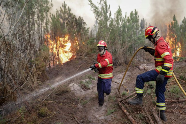 INCÊNDIO DESTRUIU DEZ CASAS E 70 A 80% DA FLORESTA DE CARREGAL DO SAL