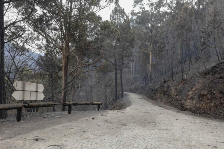 DISTRITOS DE BRAGA, COIMBRA, LEIRIA, GUARDA E VISEU COM VÁRIAS ESTRADAS CORTADAS
