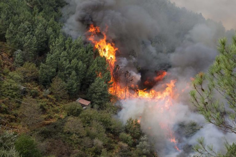 PROTEÇÃO CIVIL DIVULGA LISTA DOS 45 MORTOS DOS INCÊNDIOS, DUAS PESSOAS AINDA DESAPARECIDAS
