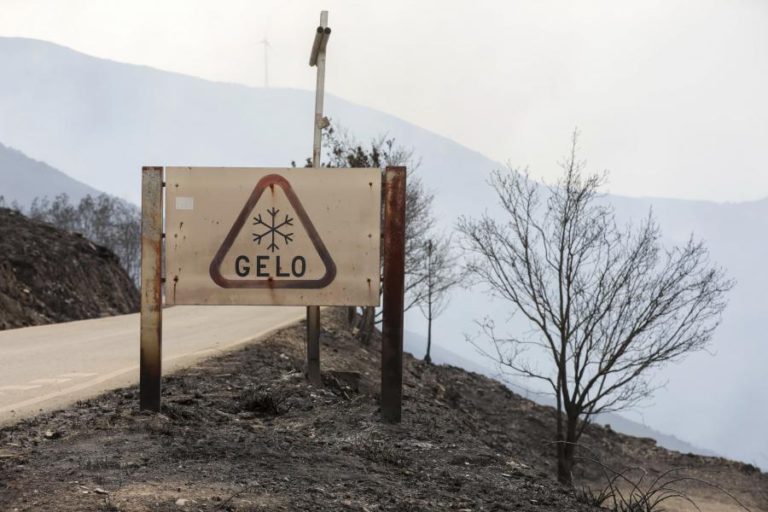 INCÊNDIOS: CINCO ESTRADAS CORTADAS NO NORTE E CENTRO DO PAÍS