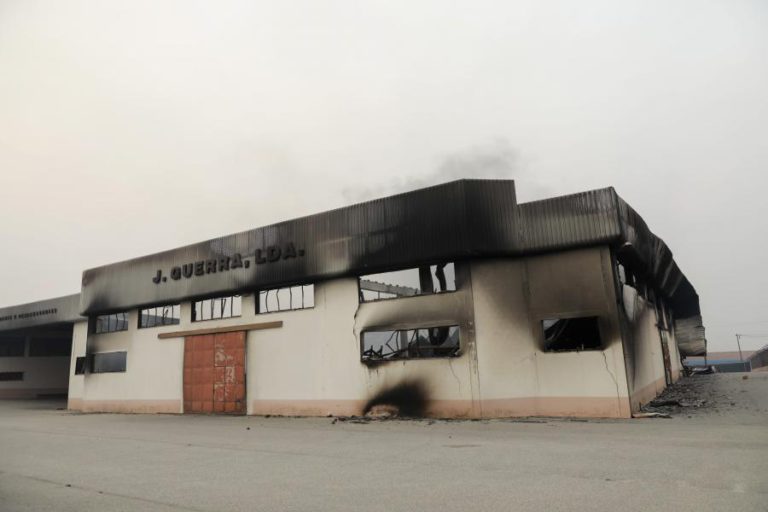 INCÊNDIOS PÕEM EM CAUSA QUASE 1.400 EMPREGOS NA REGIÃO DE COIMBRA