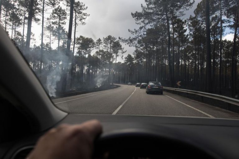 GOVERNO PREVÊ QUE PREJUÍZOS RESULTANTES DE INCÊNIDOS DE DOMINGO SUPEREM OS DE PEDRÓGÃO GRANDE