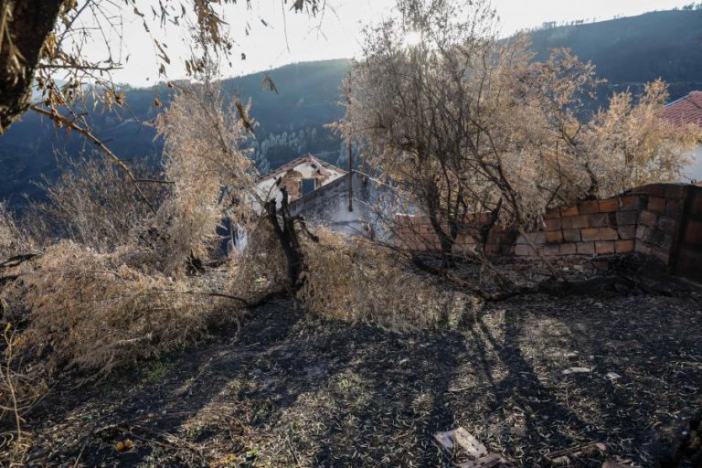 CHAMAS DESTRUÍRAM MAIS DE 37.000 HECTARES DE ÁREAS PROTEGIDAS