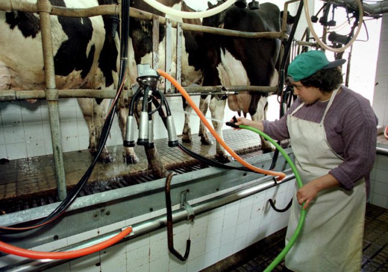 PRODUTORES DE LEITE CONSIDERAM INSUFICIENTE AUMENTO DE 1 CÊNTIMO PAGO PELA INDÚSTRIA