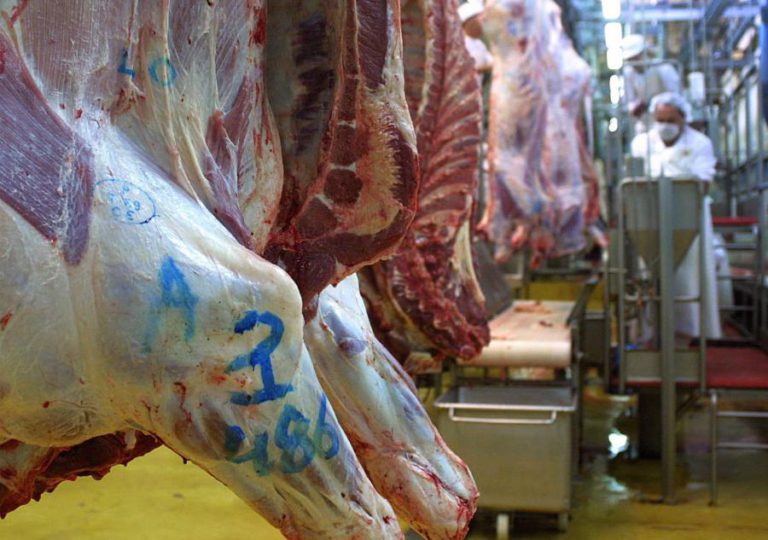 CIDADE MOÇAMBICANA DE QUELIMANE ENFRENTA ESCASSEZ DE CARNE BOVINA