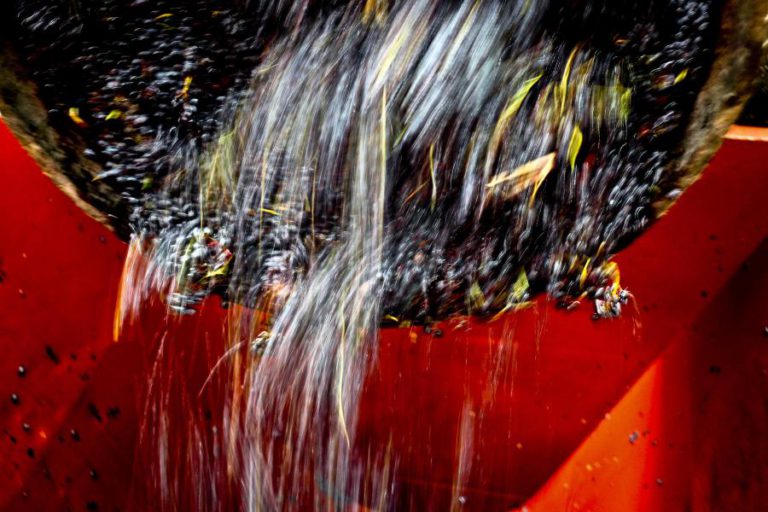 FAMÍLIA DE NELAS INVESTE DOIS MILHÕES DE EUROS EM ADEGA AMBIENTALMENTE EFICIENTE