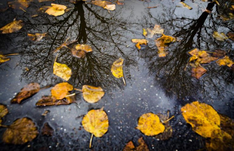 PROTEÇÃO CIVIL ALERTA PARA “PRECIPITAÇÃO LOCALMENTE INTENSA” DURANTE A TARDE DE HOJE