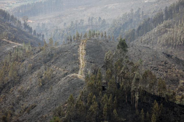 FALTA REGISTAR MAIS DE 86% DA ÁREA DOS DEZ MUNICÍPIOS DO PROJETO-PILOTO DO CADASTRO