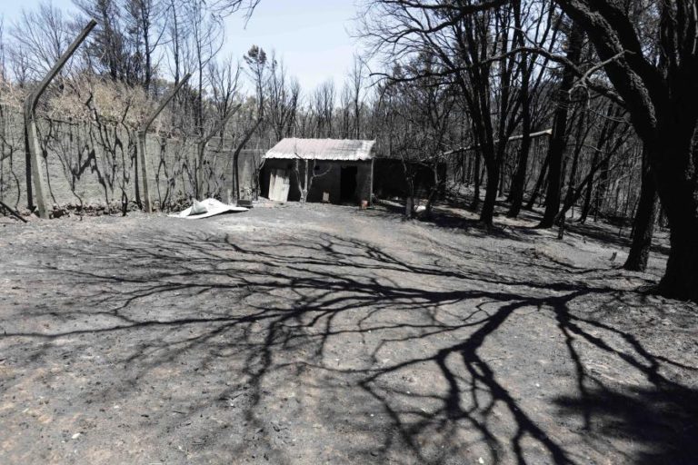 MORREU MULHER ATROPELADA QUE ESTAVA INTERNADA EM COIMBRA NA SEQUÊNCIA DOS INCÊNDIOS