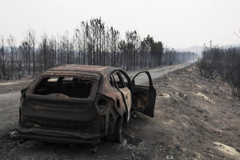 PSD E CDS-PP CONGRATULAM-SE COM “ACOLHIMENTO” DE NOVO RELATÓRIO SOBRE INCÊNDIOS DE OUTUBRO