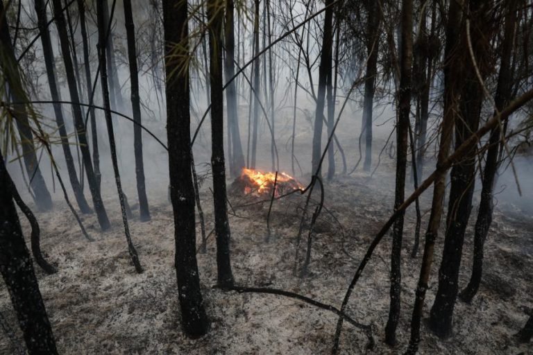 PROTEÇÃO CIVIL ALERTA PARA RISCO DE INCÊNDIOS