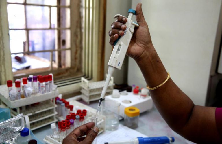 MALÁRIA NO MUNDO VOLTA A AUMENTAR EM 2016 E SOBE PARA 216 MILHÕES DE CASOS