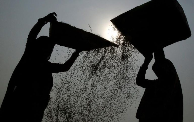 ANGOLA PEDE AO JAPÃO PARA ASSUMIR PRODUÇÕES DE ARROZ PARALISADAS E RELANÇAR CULTURA