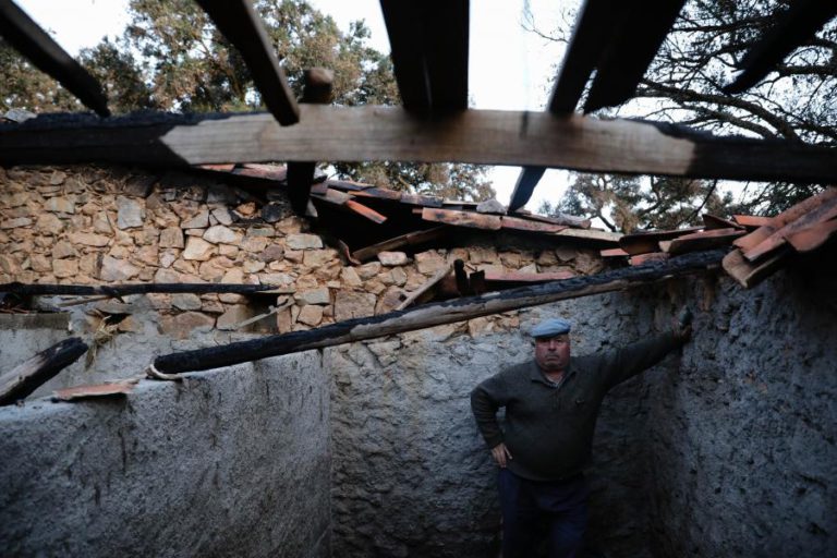 AGRICULTORES RETOMAM ATIVIDADE MESMO QUE TARDEM AS AJUDAS APÓS OS INCÊNDIOS