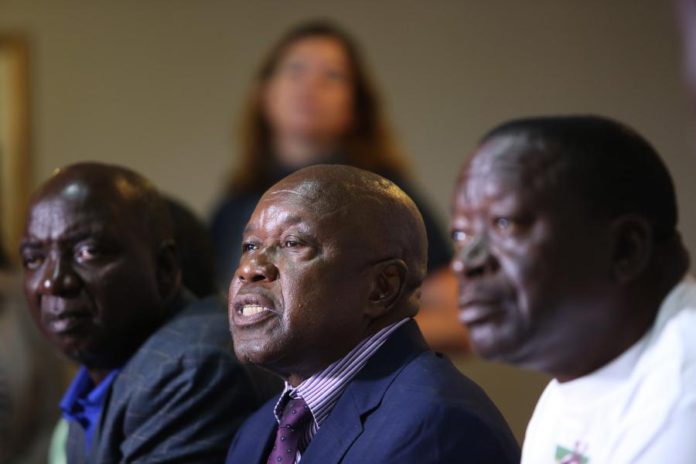23291146.jpg