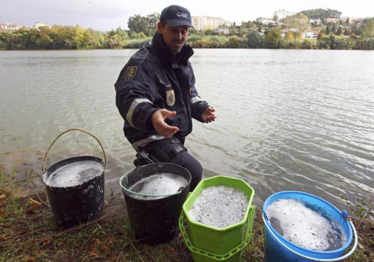 GNR DETÉM DOIS HOMENS POR PESCA ILEGAL E APREENDE 31,7 QUILOS DE MEIXÃO NO SADO