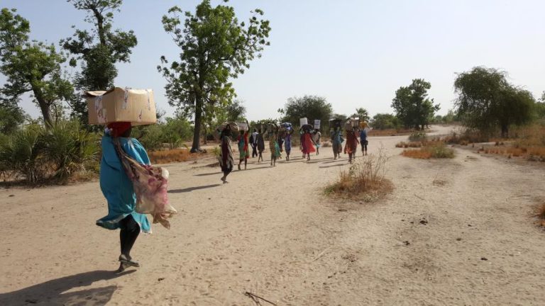MAIS DE 1,2 MILHÕES DE SUL-SUDANESES A UM PASSO DA FOME