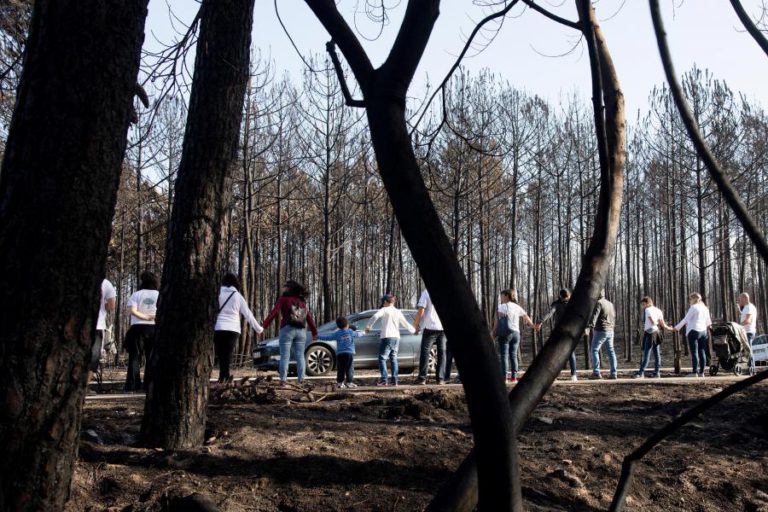 POPULAÇÃO PEDE INTERVENÇÃO URGENTE DO GOVERNO NO PINHAL DE LEIRIA