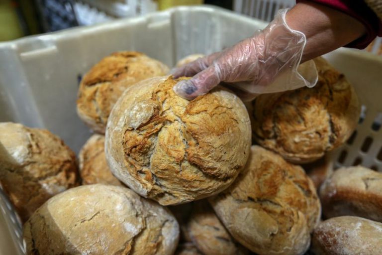 PÃO ALENTEJANO “AMBICIONA” SER CERTIFICADO COM INDICAÇÃO GEOGRÁFICA PROTEGIDA