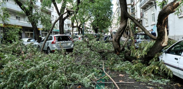 UM MORTO E CINCO FERIDOS LIGEIROS PROVOCADOS PELA TEMPESTADE ANA