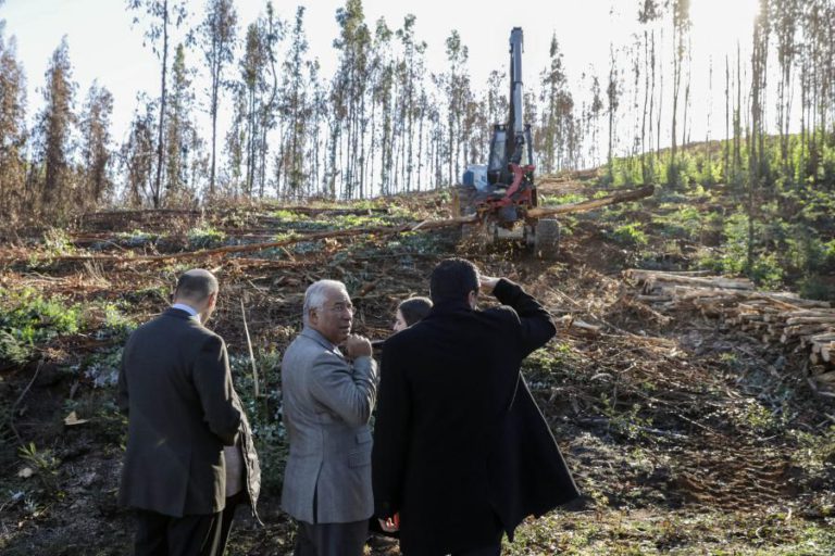 PRIMEIRO-MINISTRO DIZ QUE SUBIDA DO ‘RATING’ PORTUGUÊS É O RESULTADO DE BOAS POLÍTICAS