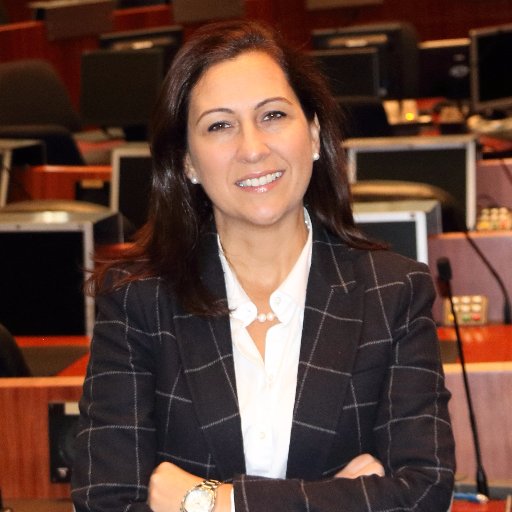 NOVO REORDENAMENTO TERRITORIAL