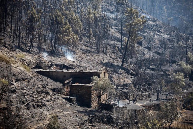 SEGURANÇA SOCIAL PRESTOU 7.400 ATENDIMENTOS E ATRIBUIU 4ME EM APOIOS ÀS VÍTIMAS DOS INCÊNDIOS