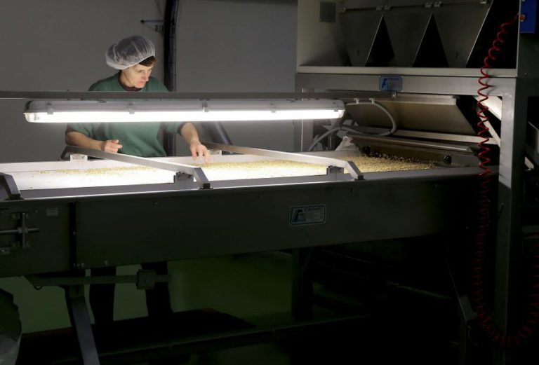 ECONOMIA MUNDIAL CRESCE 3,9% EM 2018 E 2019