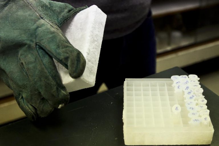 DETEÇÃO DE ‘LEGIONELLA’ FECHA UM DOS SERVIÇOS DE ORTOPEDIA DO HOSPITAL DE TORRES VEDRAS