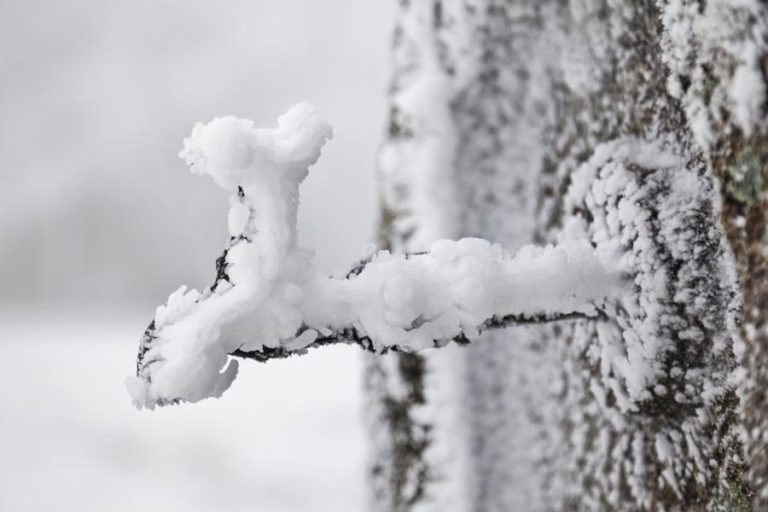 SEIS ESCOLAS FECHADAS EM BRAGANÇA DEVIDO À NEVE