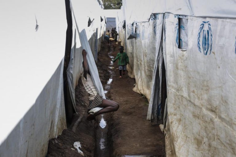 ANGOLA E RDCONGO ANALISAM REGRESSO DE REFUGIADOS CONGOLESES