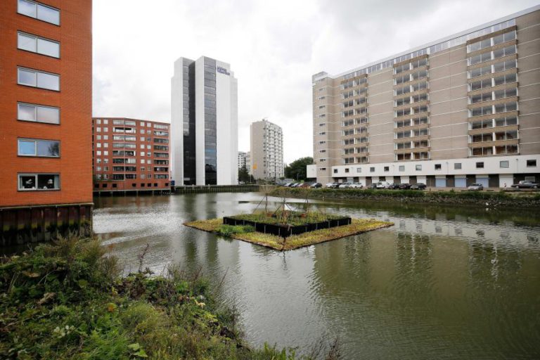 CONCESSÃO DE CRÉDITO À HABITAÇÃO NA ZONA EURO FICOU MAIS FÁCIL NO FIM DE 2017 – BCE