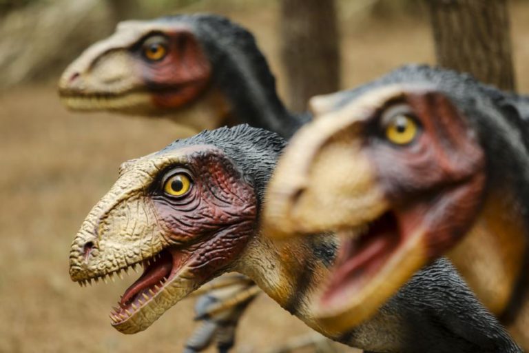 PARQUE DOS DINOSSAUROS DA LOURINHÃ ABRE AOS VISITANTES A 09 DE FEVEREIRO