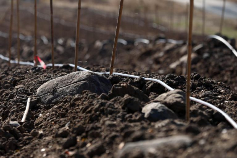 DIREÇÃO REGIONAL DE CULTURA DO ALENTEJO QUER PREVENIR DESTRUIÇÃO DE SÍTIOS ARQUEOLÓGICOS