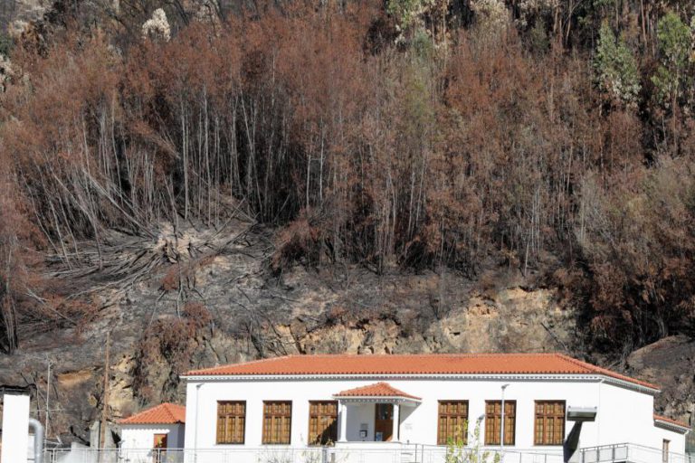 MUNICÍPIOS REJEITAM DIPLOMA DO GOVERNO QUE OS OBRIGA A LIMPAR A FLORESTA