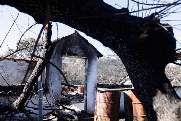 83% DOS FORMULÁRIOS PARA RECONSTRUÇÃO APÓS OS INCÊNDIOS ENTREGUES DENTRO DO PRAZO