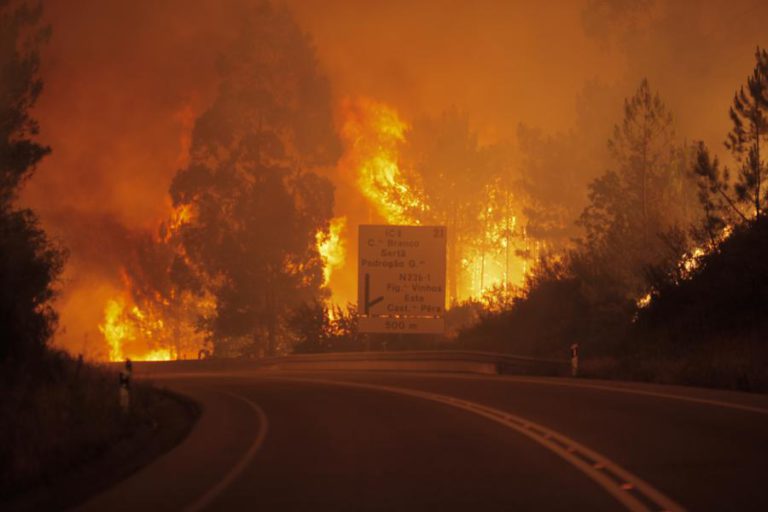BOMBEIROS DO PORTO REPUDIAM QUE COMANDANTE DE PEDRÓGÃO GRANDE SEJA ARGUIDO
