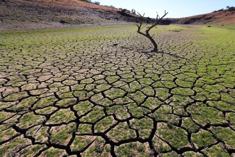 AGRICULTORES DIZEM QUE AJUDA DO GOVERNO PARA A SECA “AINDA NÃO CHEGOU”