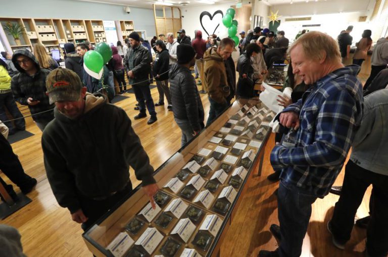 CALIFORNIANOS FAZEM FILA PARA SEREM OS PRIMEIROS A COMPRAR LEGALMENTE CANÁBIS