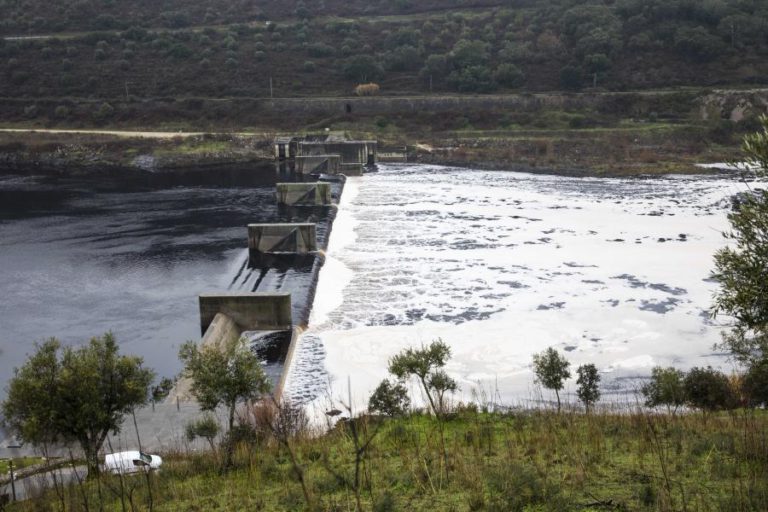 ORIGEM DE FOCO DE POLUIÇÃO NO TEJO NA ZONA DE ABRANTES AINDA POR IDENTIFICAR