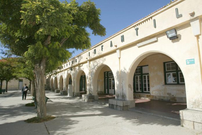 6199154.jpg