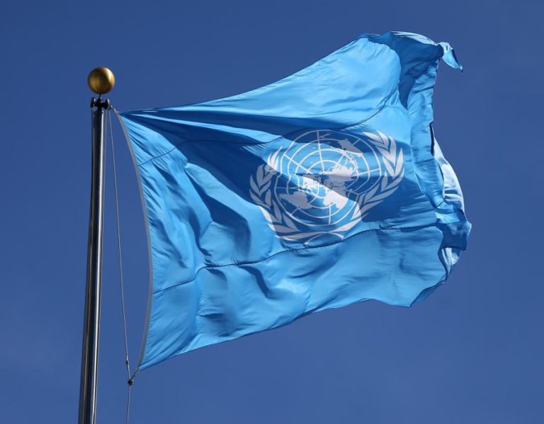 JOVEM PORTUGUESA VAI SER PORTA-VOZ DE 10 MILHÕES DE RAPARIGAS EM COMISSÃO DA ONU