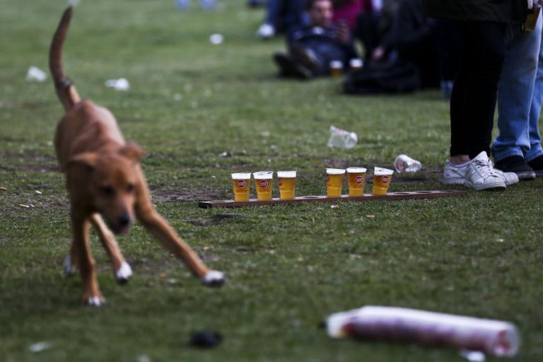 CONSUMO DE CERVEJA EM PORTUGAL CRESCEU 8% EM 2017
