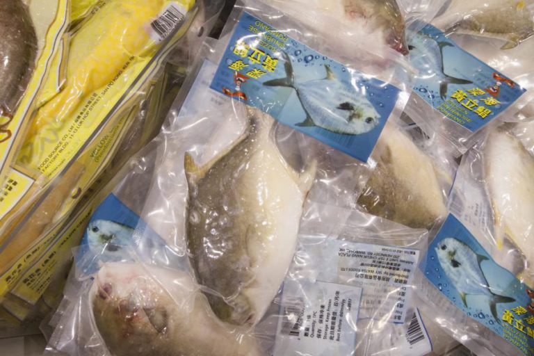 PORTUGAL AUMENTOU IMPORTAÇÕES DE PESCADO CONGELADO DE PAÍSES EM DESENVOLVIMENTO, SEGUNDO UM ESTUDO