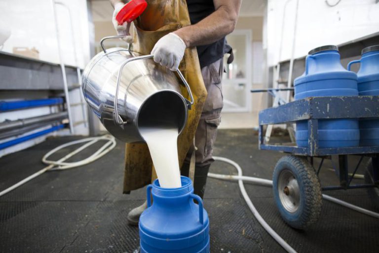 DESINFORMAÇÃO FEZ CAIR CONSUMO DE LEITE E DEU ESPAÇO A BEBIDAS VEGETAIS, SEGUNDO OS PRODUTORES