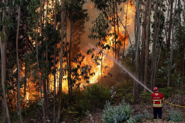 PENA SUSPENSA PARA EX-BOMBEIRO ACUSADO DE ATEAR TRÊS FOGOS EM OLIVEIRA DE AZEMÉIS